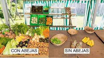 disminución de abejas